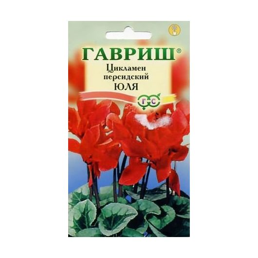 Цикламен Юля персидский * 3 шт.