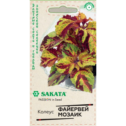 Колеус Файервей Мозаик 5 шт. Саката