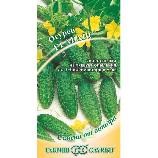 Огурец Аванс F1 10 шт. корнишон! автор.