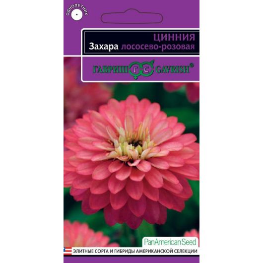 Цинния Захара лососево-розовая 5 шт. серия Эксклюзив