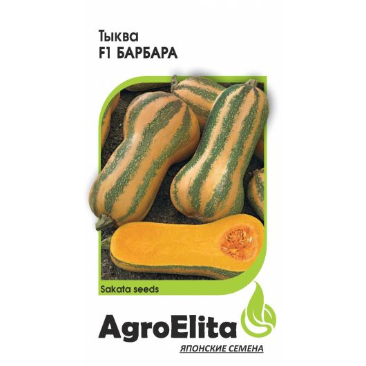 Тыква Барбара F1, мускатная 5 шт. (Саката) Агроэлита