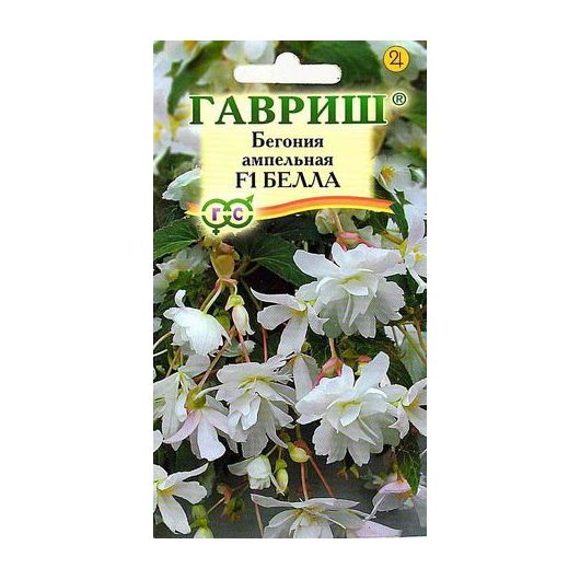 Бегония ампельная Белла F1 клубневая, гранул. 4 шт. пробирка