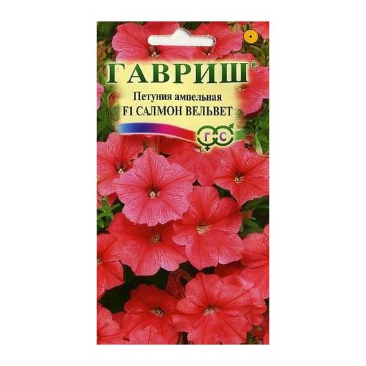 Петуния Салмон Вельвет (Сурфиния) амп. 4 шт. пробирка