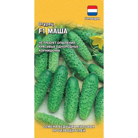 Огурец Маша F1 5 шт. корнишон (Голландия)