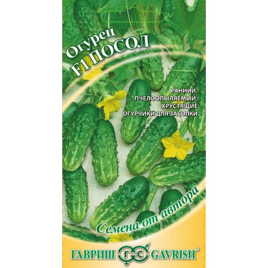 Огурец Посол F1 10 шт. Лучший в засол! автор.