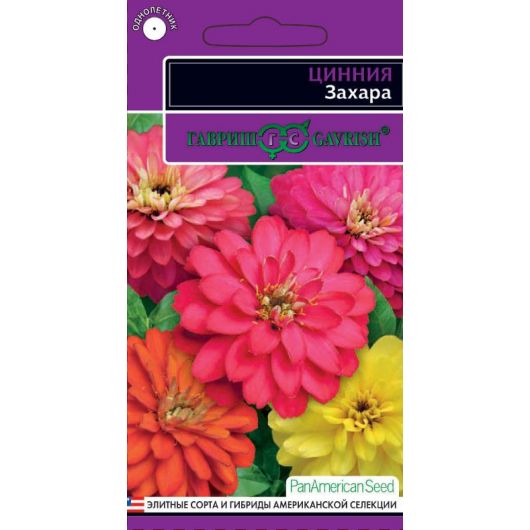 Цинния Захара смесь 5 шт. серия Эксклюзив