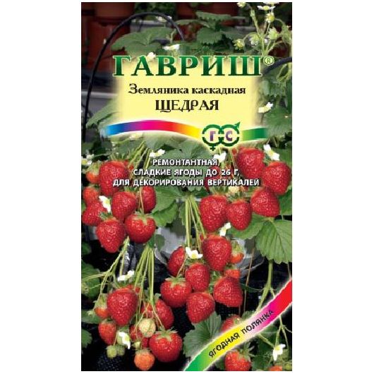 Земляника ампельная Щедрая пробирка 4 шт.