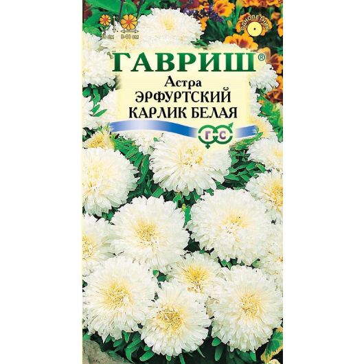 Астра Эрфуртский карлик Белая, однолетняя, 0,3 г