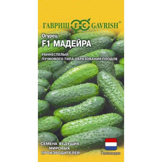 Огурец Мадейра F1 5 шт. (Голландия)