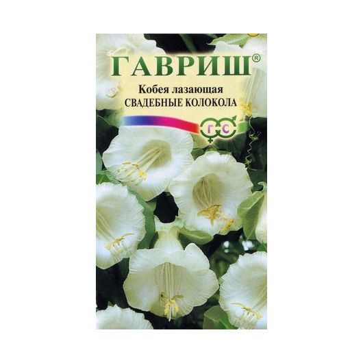 Кобея Лазающая Свадебные колокола 5 шт.