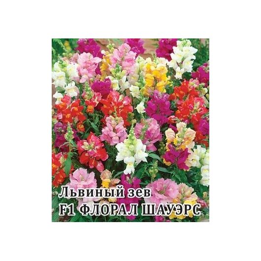 Львиный зев (Антирринум) Флорал Шауэрс F1 100 шт.