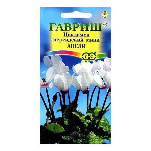 Цикламен Анели персидский* 3 шт.