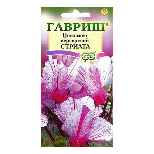 Цикламен Стриата персидский* 3 шт.