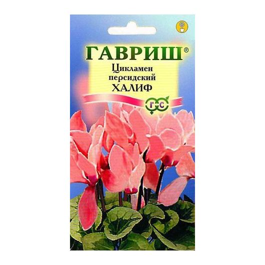 Цикламен Халиф персидский* 3 шт.