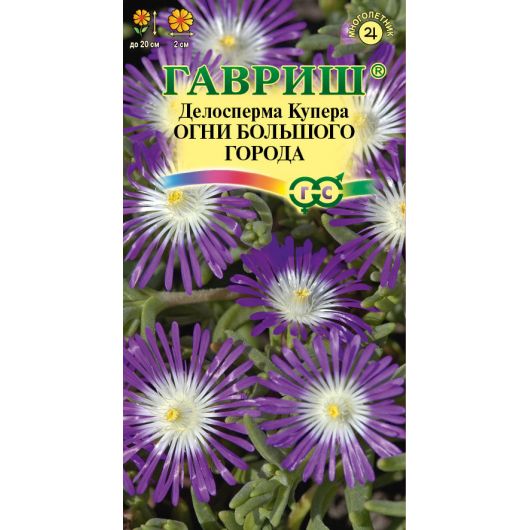 Делосперма обильноцветущая Огни большого города, гранул. пробирка 7 шт.
