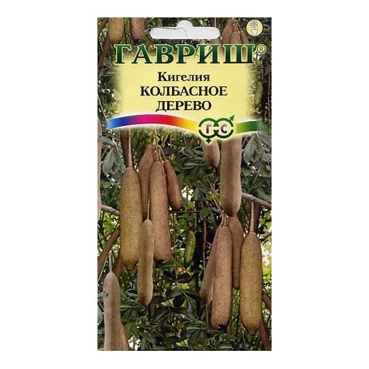 Кигелия Колбасное дерево 3 шт.