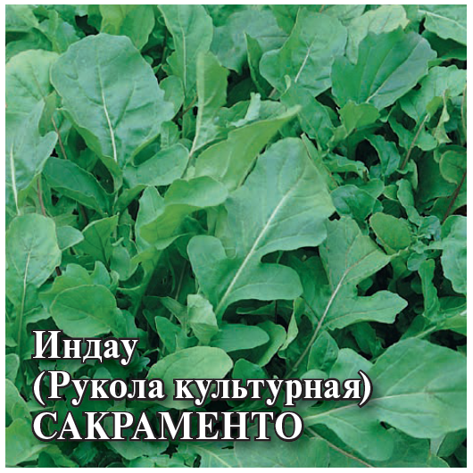 Индау (рукола культурная) Сакраменто 25,0 г