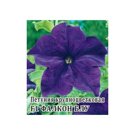 Петуния Фалкон Блу F1 крупноцв. 100 шт.