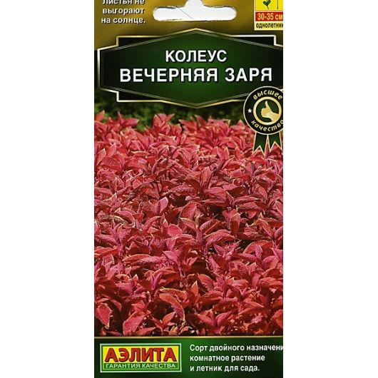 Колеус блюме Вечерняя заря 10 шт. Аэлита