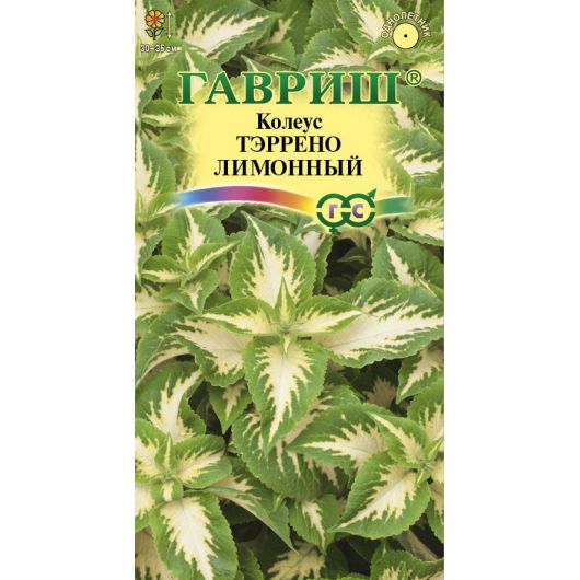 Колеус Тэррено лимонный* 5 шт.