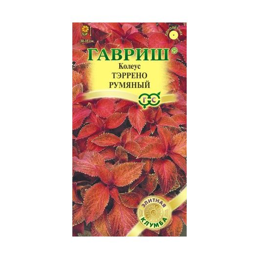 Колеус Тэррено румяный* 5 шт.