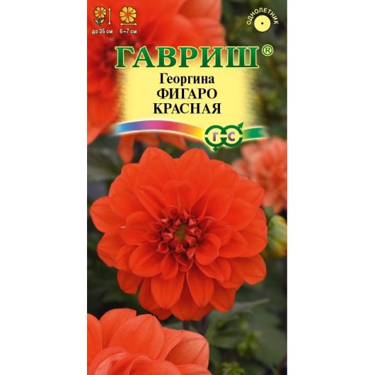 Георгина Фигаро красная 7 шт. негранул.