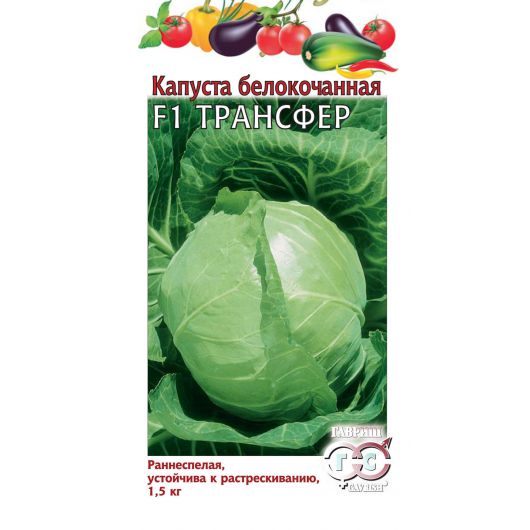 Капуста белокоч. Трансфер F1 10 шт. ранняя