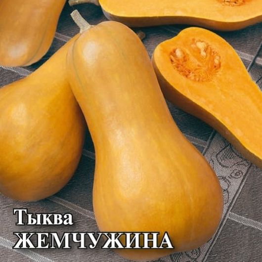 Тыква Жемчужина, мускатная 100,0 г