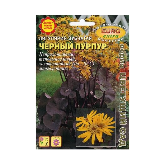 Лигулярия зубчатая (Бузульник) Черный пурпур 4 шт. Аэлита