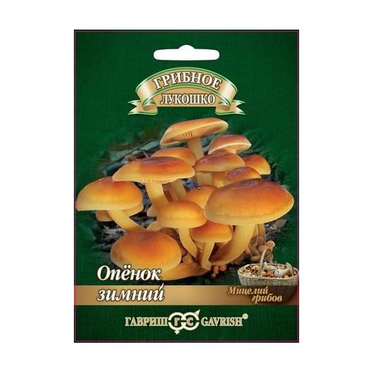 Опенок зимний на древесной палочке, больш. пак. 12 шт