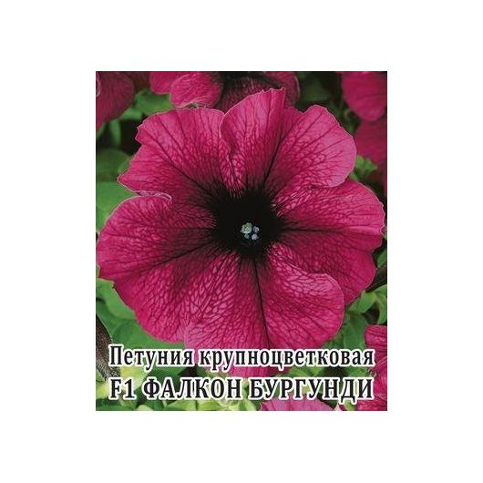 Петуния Фалкон Бургунди F1 крупноцв. 100 шт.