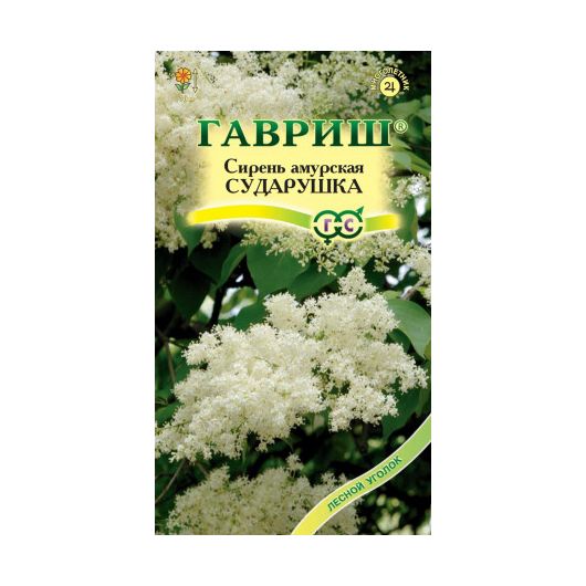 Сирень амурская Сударушка*  0,1 г