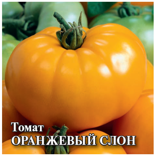 Томат Оранжевый слон 5,0 г