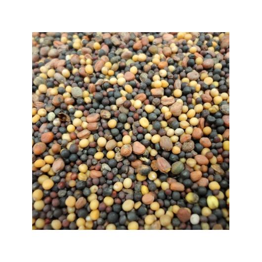 Смесь сидератов бобовая 1,0 кг