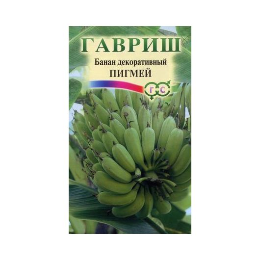 Банан декоративный, Пигмей 3 шт.