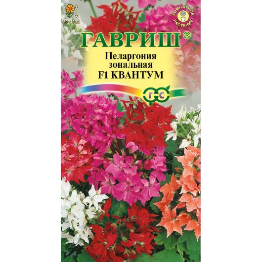 Пеларгония Квантум F1, зональная* 3 шт.