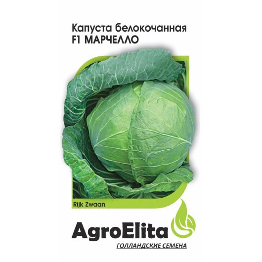 Капуста белокоч. Марчелло F1 10 шт. ср. (Райк Цваан) Агроэлита