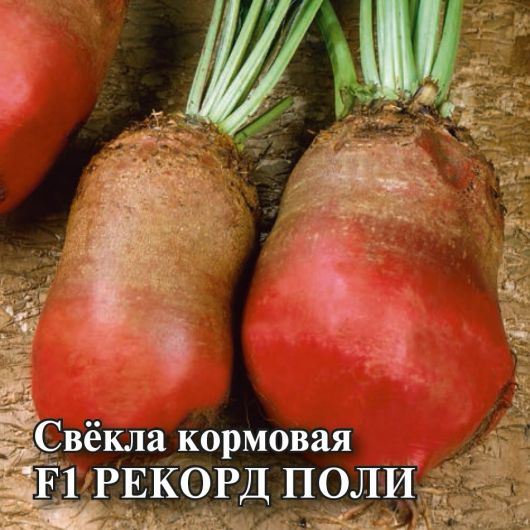 Свекла кормовая Рекорд Поли 1 кг