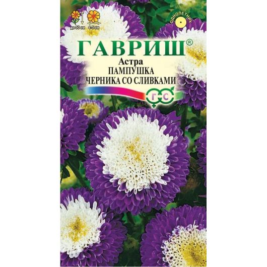 Астра Пампушка черника со сливками, однолетняя (помпонная) 0,3 г