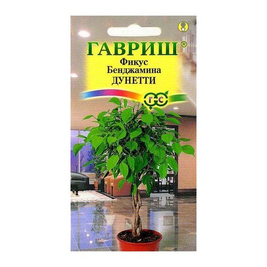 Фикус Бенджамина Дунетти* 0,01 г