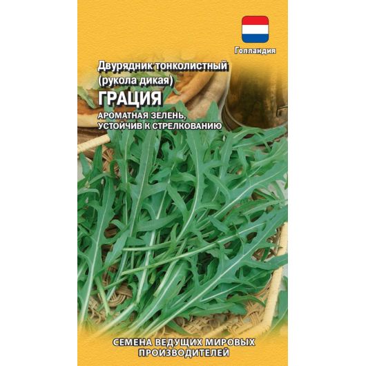 Двурядник тонколистный (Рукола дикая) Грация  500 шт. (Голландия)
