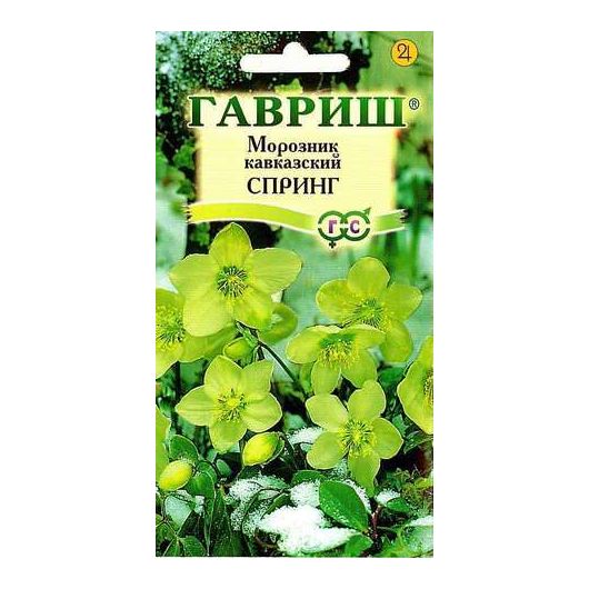 Морозник Спринг лимонно-зеленый восточный (кавказский) 0,1 г