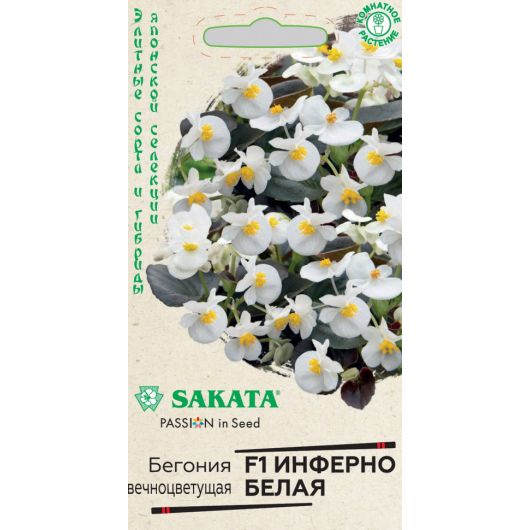 Бегония Инферно белая F1 гибридн. гранул. 4 шт. пробирка, Саката серия Элитная клумба