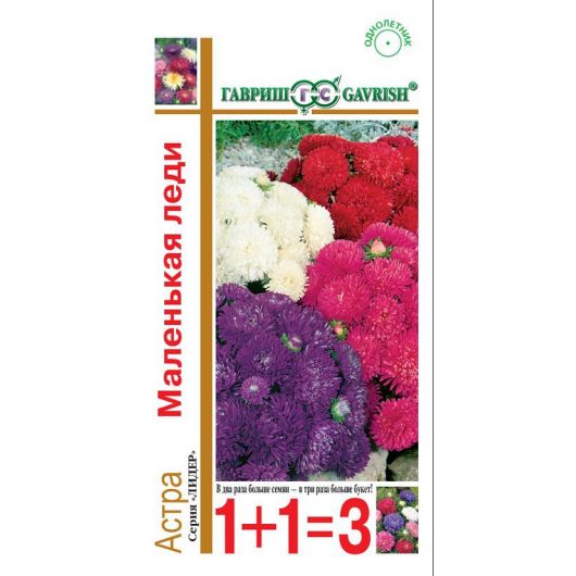 Астра Маленькая леди, однолетняя (карликовая смесь) 0,6 г серия 1+1