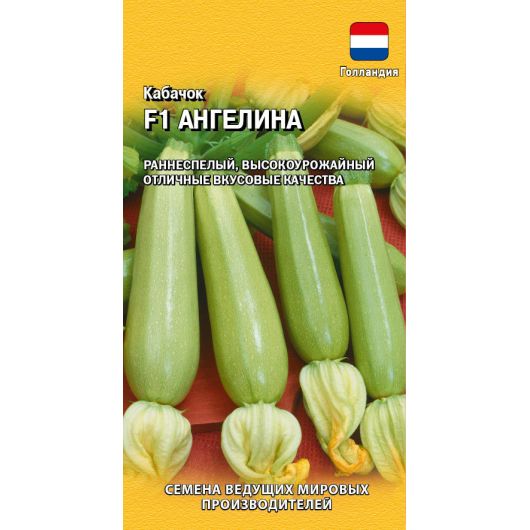 Кабачок Ангелина F1 5 шт. (Голландия)