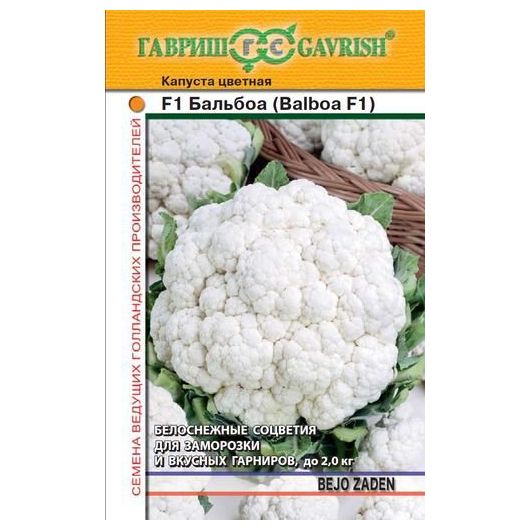Капуста цветная Балбоа F1 10 шт. (Голландия)