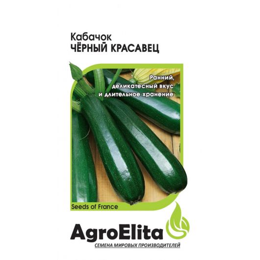 Кабачок Черный красавец 1,0 г (BS) Агроэлита