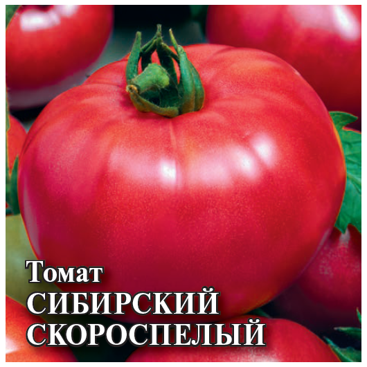Томат Сибирский скороспелый 25,0 г