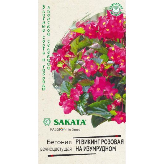 Бегония Викинг розовая на изумрудном F1, гибрид. гранул. 4 шт. проб. Саката сер. Элитная клумба
