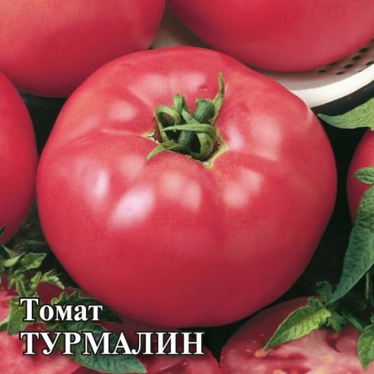 Томат Турмалин 5,0 г
